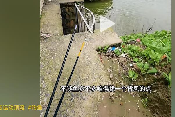 快手24小时自助下单平台-快手刷粉刷赞直播人气无所不能