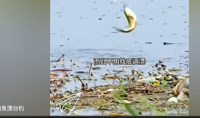 识别视频号粉丝购买平台真伪-视频号拇指点赞直播看过自助平台