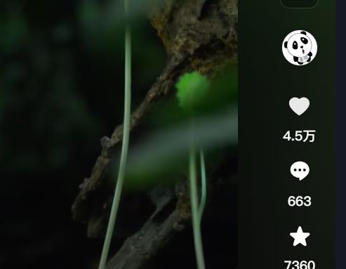 360截图20251028122950773.jpg 360截图20251028122950773.jpg