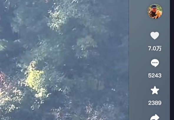 抖音刷评论点赞刷直播人气-打造直播互动效果