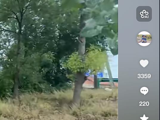 ks24小时业务自助下单平台网站网红必备- 一生涨粉网免费刷赞