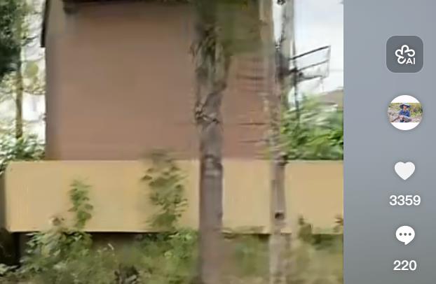 快手粉丝购买_24小时业务自助下单平台_抖音小红书视频号涨粉